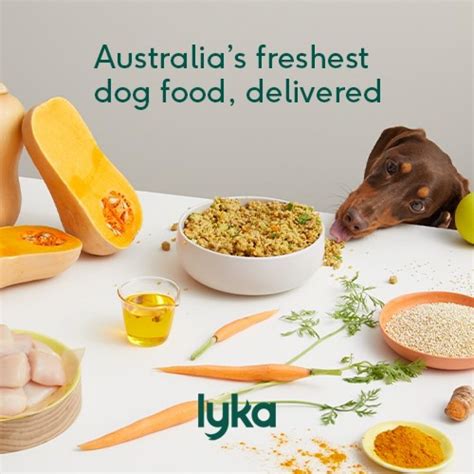 login lyka|lyka pet food.